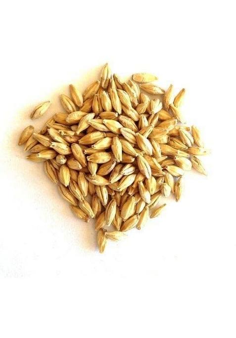 Organic Charitra Jau Sabut (Barley Whole Grain)| 900 Gram Packing| With Fibre, Vitamins & Minerals| For Weight Loss Improves Digestion| Rich In Nutrients| Heart Healthy