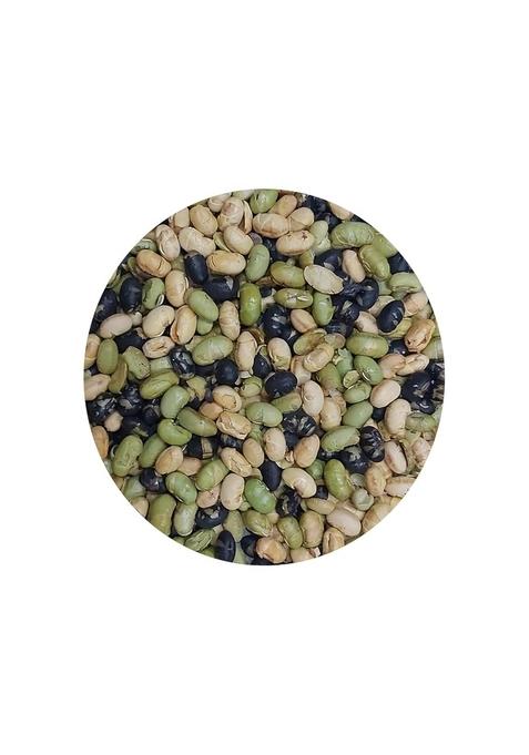 Bellanuts Healthy Seeds, Roasted Protein Beans 500G | Soya Snack High-Protein