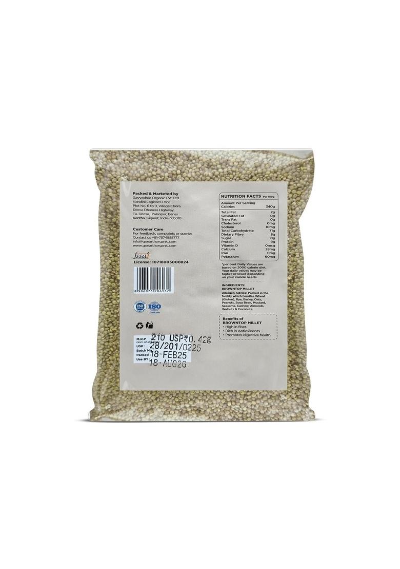 Go Earth Organic Brown Top Millet, 500Gm | Natural, Organic, Unpolished Choti Kangni, Andu Korralu Korale, Vrat Food For Fasting Gluten Free, High Fibre, Protein, Low Gi, Vegan