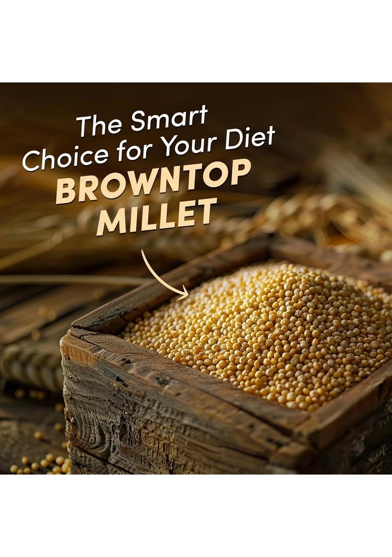 Go Earth Organic Brown Top Millet, 500Gm | Natural, Organic, Unpolished Choti Kangni, Andu Korralu Korale, Vrat Food For Fasting Gluten Free, High Fibre, Protein, Low Gi, Vegan