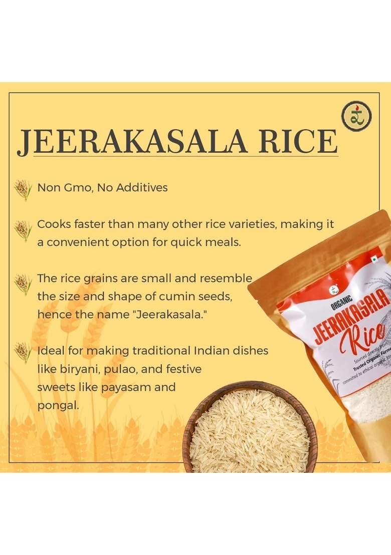 Rootz Organics Jeerakasala Rice 900G | Perfect For Biryani & Ghee Short Grain Grown In The Paddy Fields Of West Bengal Organically Non Gmo Export Quality - Indya