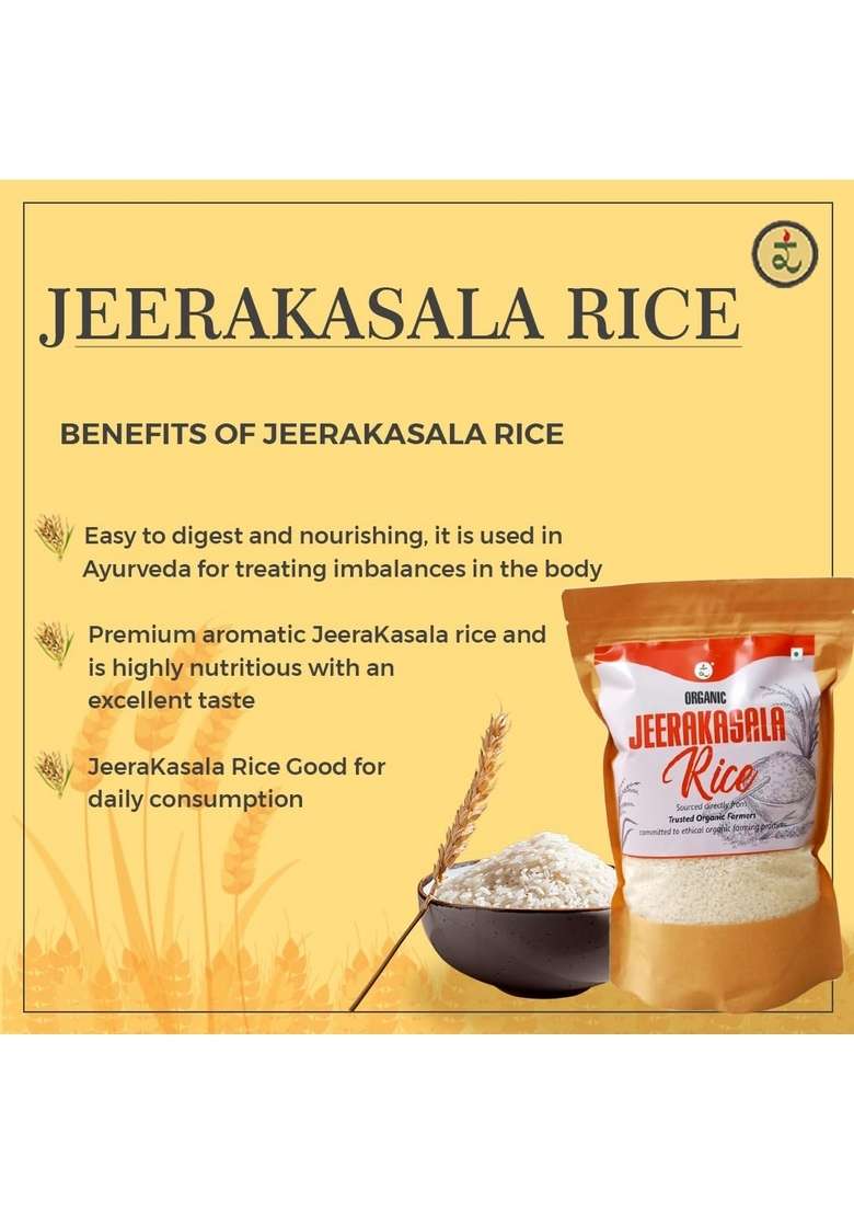 Rootz Organics Jeerakasala Rice 900G | Perfect For Biryani & Ghee Short Grain Grown In The Paddy Fields Of West Bengal Organically Non Gmo Export Quality - Indya