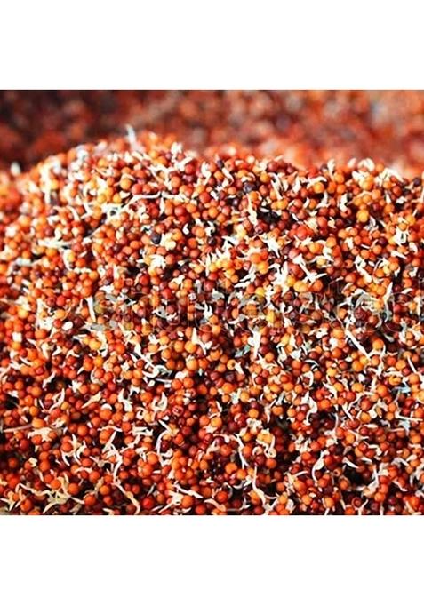 Ponkathir Sprouted Ragi Powder 400 Grams | 100% Natural Finger Millet Flour Kelvaragu Rich In Calcium & Protein Gramsx1Pkt