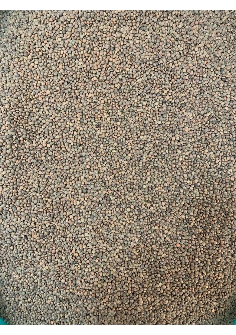 Ijja Masoor Dal Pahadi Or Red Lentil Whole Natural And Unpolished 1Kg Harvested&Sourced From Hills Of Uttarakhand