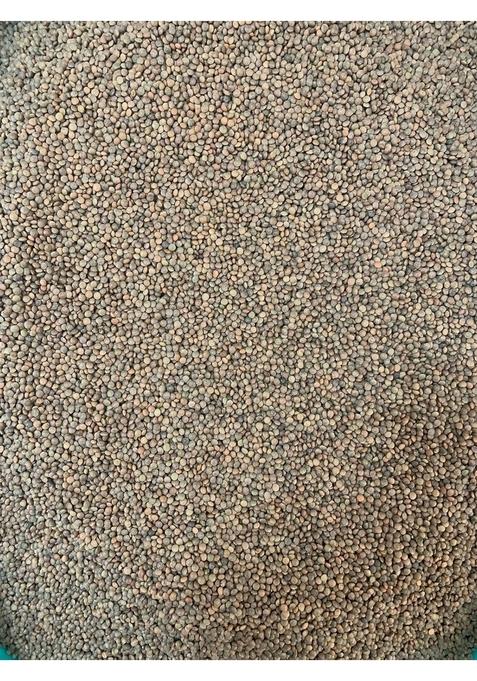 Ijja Masoor Dal Pahadi Or Red Lentil Whole Natural And Unpolished 1Kg Harvested&Sourced From Hills Of Uttarakhand