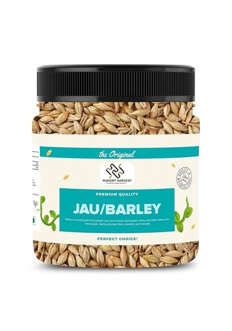 Hungry Harvest Jau Sabut (Barley Whole Grain)| With Fibre, Vitamins & Minerals| For Weight Loss Improves Digestion| Jar Pack| Raw Barley Seeds (Jau) | (300 Grams (Pack Of 1 300 Grams))
