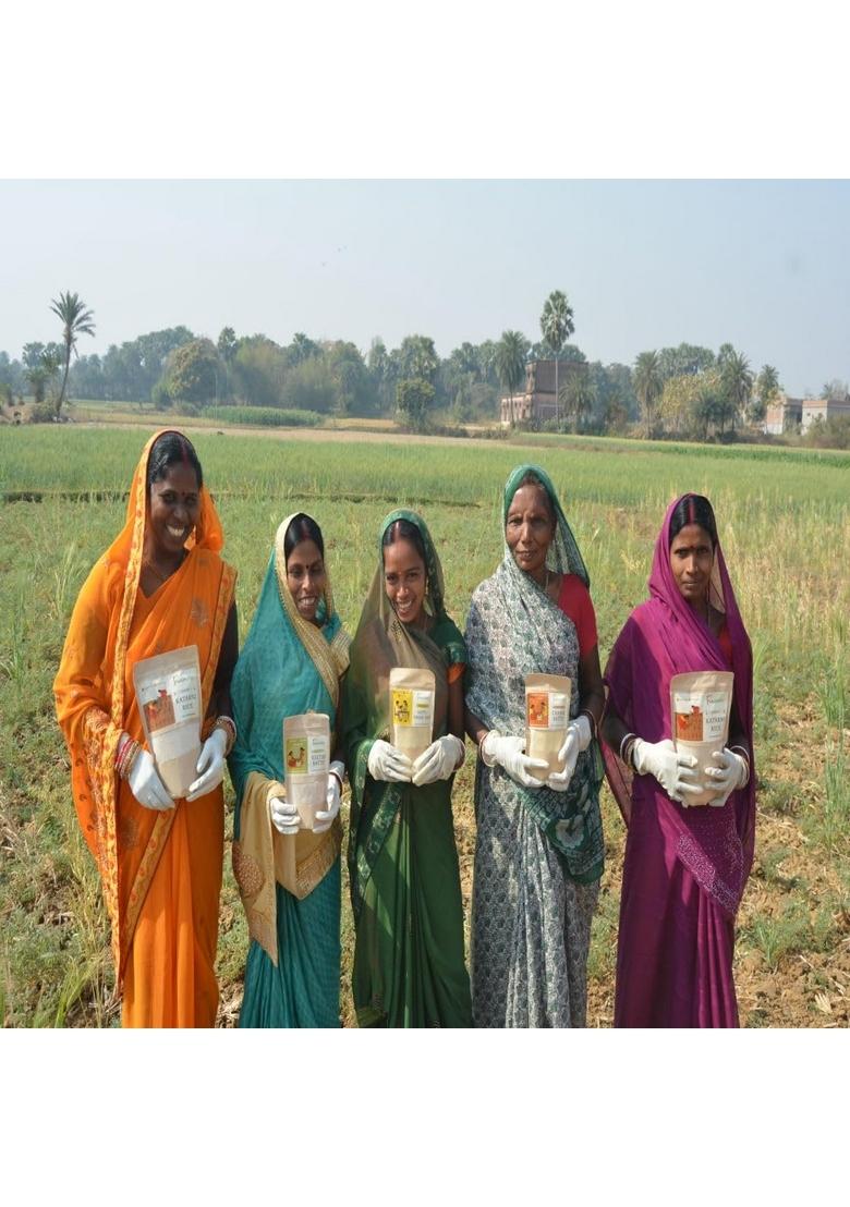 Natureship Jau Sattu Flour (Barley Sattu), 500G | Handmade Indian Superfood Roasted And Stone-Ground By Hand (45–60 Rotations/Hour) High Protein Powder Fibre Perfect For Healthy Drinks, Parathas & Snacks From Bihar Jharkhand