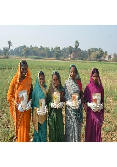 Natureship Jau Sattu Flour (Barley Sattu), 500G | Handmade Indian Superfood Roasted And Stone-Ground By Hand (45–60 Rotations/Hour) High Protein Powder Fibre Perfect For Healthy Drinks, Parathas & Snacks From Bihar Jharkhand