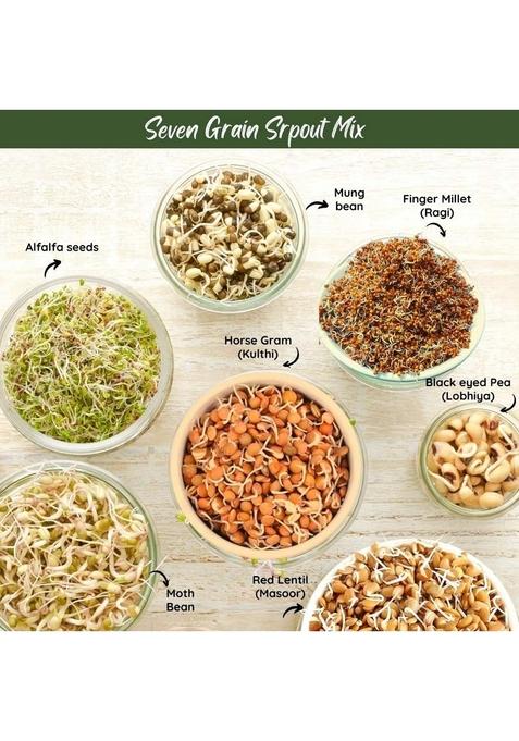 Nihkan Dehydrated Instant Multi Mix Grains Sprouts