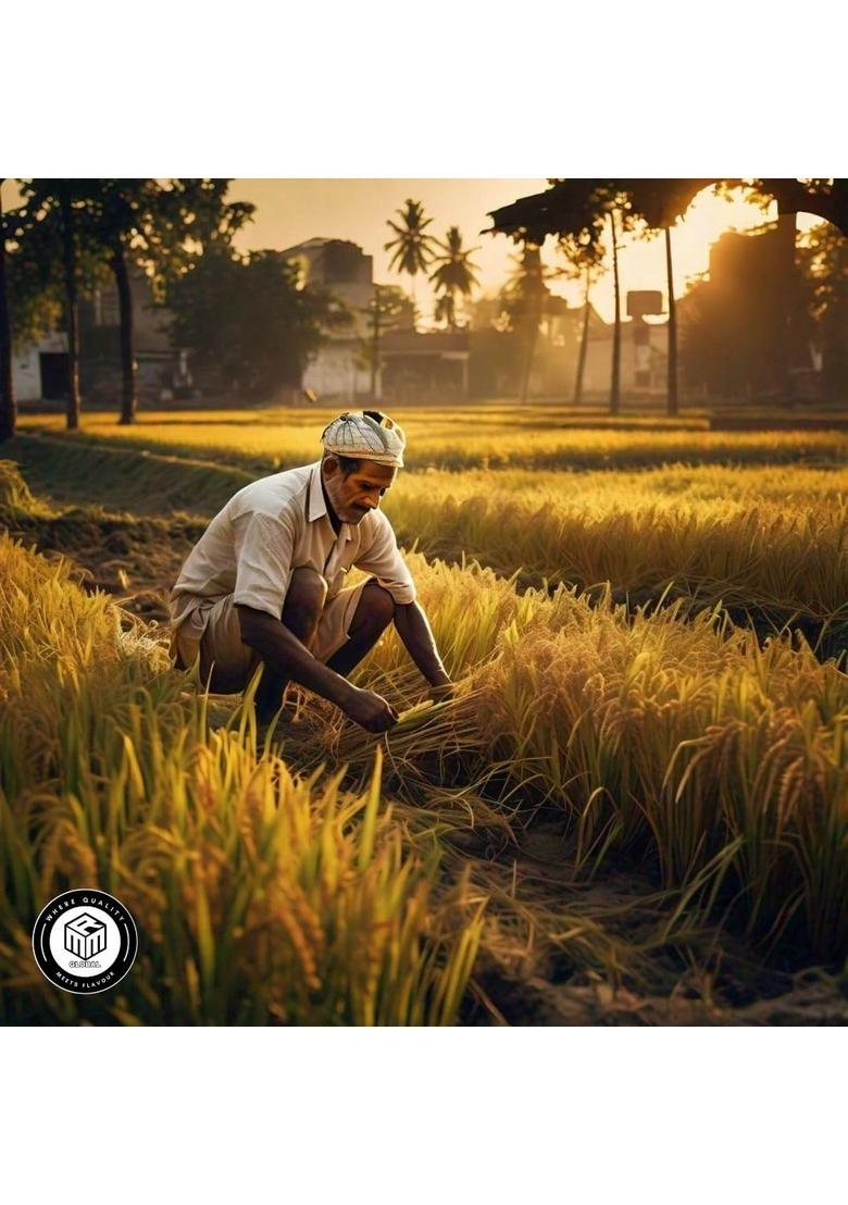 Mmr Global Pooja Chawal, Pongal Rice, New Fresh Crop (2024-25) Rice For Puja, Akshat 500 Gms