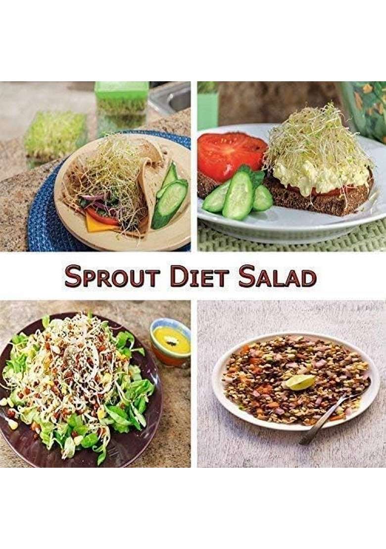 Happy Bazaar Single Layer Spout Maker | Plastic Hygienic Sprout Organic Home Making Fresh Sprouts Beans For Living Healthy Life (Multi-Color) - Indya