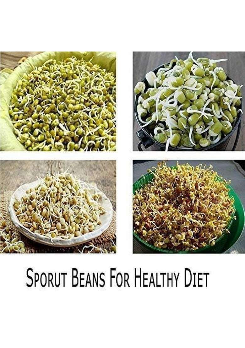 Happy Bazaar Single Layer Spout Maker | Plastic Hygienic Sprout Organic Home Making Fresh Sprouts Beans For Living Healthy Life (Multi-Color) - Indya