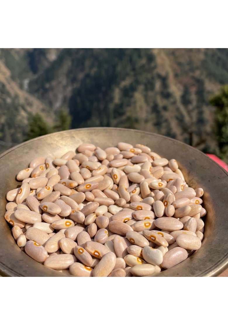 Orang Utan Himalayan White Rajma From Harshil Valley | Natural, Unpolished & Protein-Rich Pulses Farm-Sourced By Organics (500 G) - Indya