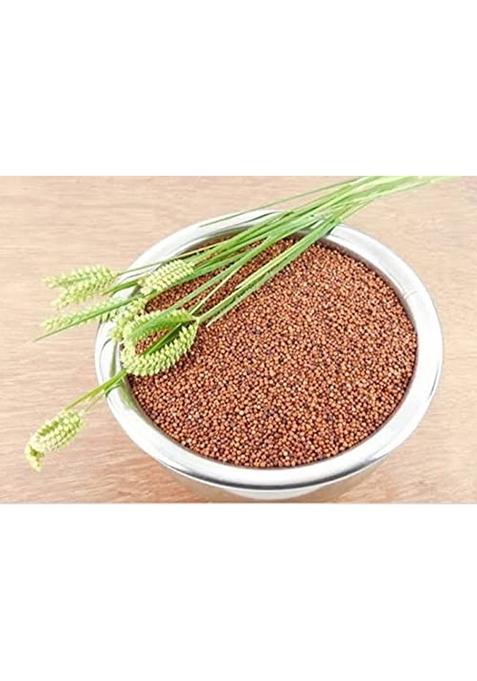Saara Herbal Fresh Ragi Grain(Finger Millet) 950 Grams