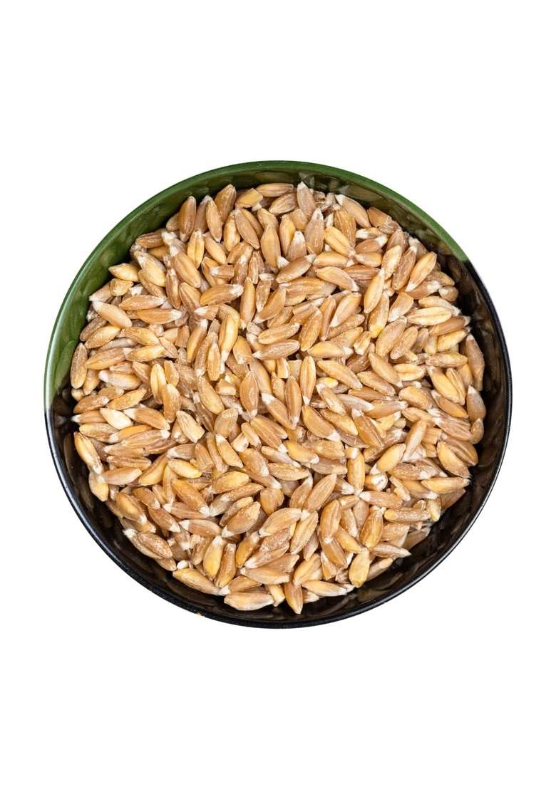 Jivabhumi Organic Long Wheat (Jave Godhi / Khapli Wheat) 450G | Premium, Chemical-Free & Farm-Fresh Indian Grain High-Fiber, Non-Gmo, Unpolished Pesticide-Free Perfect For Chapati Healthy Cooking - Indya