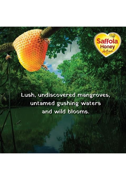 Saffola Honey Active, Made With Sundarban Forest Honey, 100% Pure No Sugar Adulteration, Natural Immunity Booster, 250G
