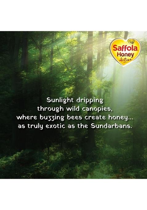 Saffola Honey Active, Made With Sundarban Forest Honey, 100% Pure No Sugar Adulteration, Natural Immunity Booster, 250G