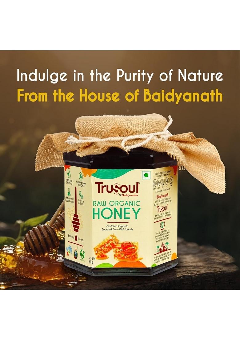 Trusoul By Baidyanath Raw Organic Honey