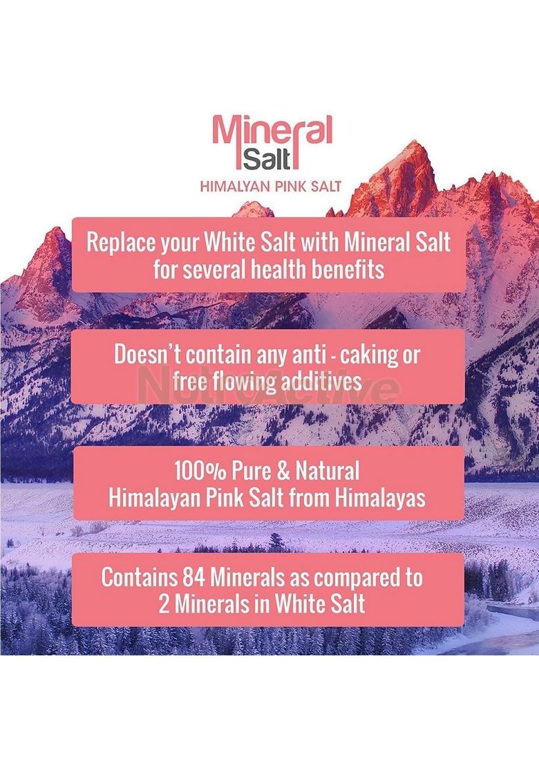 Nutroactive Mineralsalt Himalayan Pink Rock Salt Fine Grain
