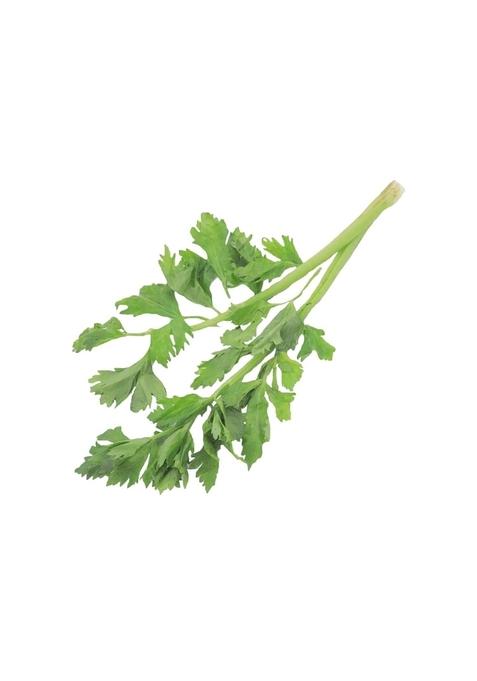 Pluckk Fresh Ooty Celery, 200G, Crisp And Aromatic