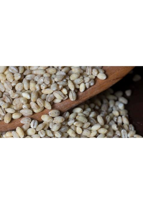 Nourcery Pearl Barley, 500G (Hulled Barley) | High Fiber Jau | Low Glycemic Index | Raw Barley Grain | Healthy By Nature | Cooks Like Rice | Ideal For Risottos & Soups | Naturally Gluten Free