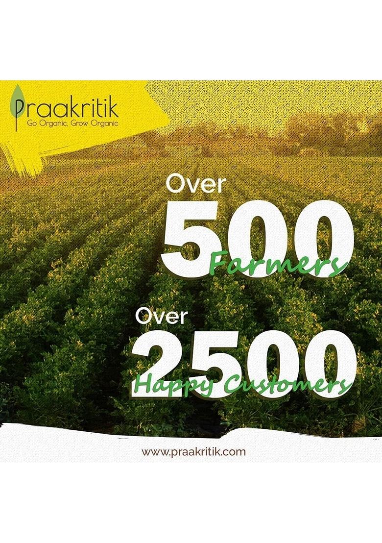 Praakritik Organic Jumbo Rolled Oats 500 Gram, Gluten Free Oats, Healthy Breakfast Cereal & Diet Food, Support Weight Loss, High In Protein & Fibre