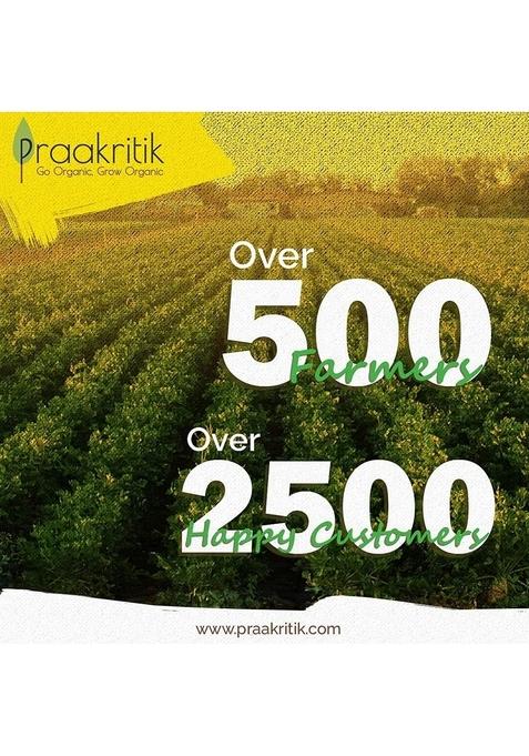 Praakritik Organic Jumbo Rolled Oats 500 Gram, Gluten Free Oats, Healthy Breakfast Cereal & Diet Food, Support Weight Loss, High In Protein & Fibre