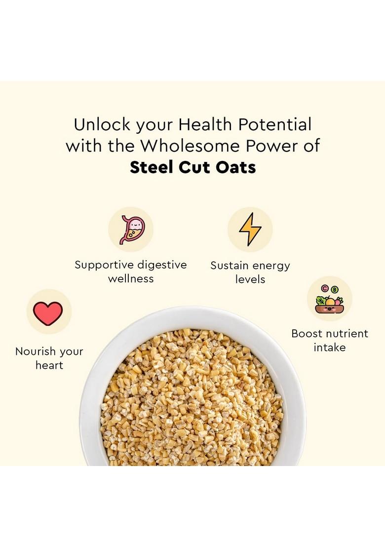 Nourish You Steel Cut Oats 500G