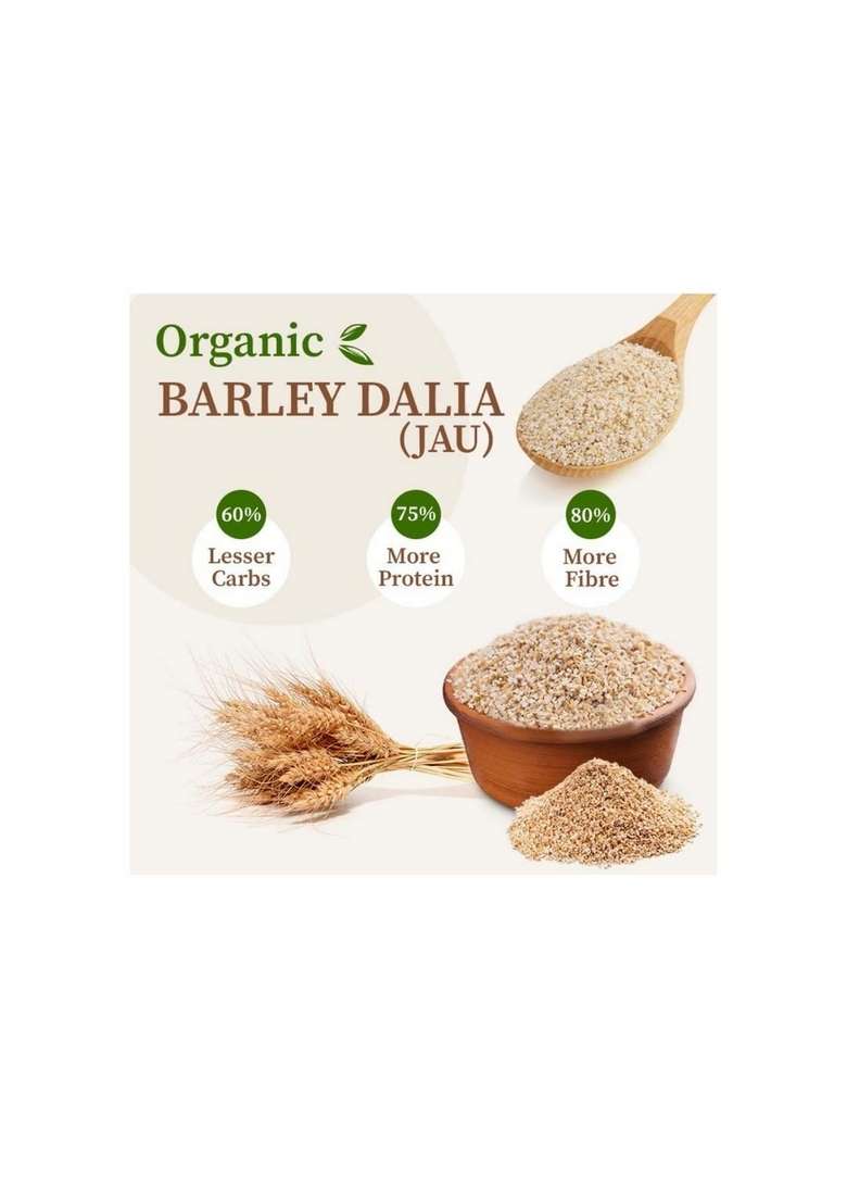 Ghotaram The Authentic Rajawadi Jau Guli/Rajawadi Traditional Jo Ghat Jau Dalia (100% Pure Sprouted Jau Barley Daliya) | Summer Rabdi Guli Enriched With Fibre & Protein-480G - Indya