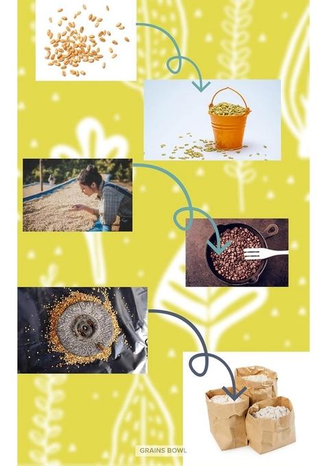 Grains Bowl Hand Roasted Multi Grains Health Mix Powder For Kids And Adults (No Cooking Needed)/Roasted Cereals & Pulses Powder/Chatua/Sathu Maavu/Porridge Mix (Cardamom/Elaichi Flavour, 500 Gm)