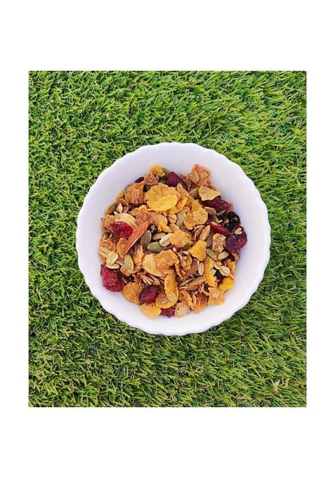 Foodcloud.In Munchies- Homemade Premium Dry Fruit Muesli | Vegan & Gluten Free | Roasted & Healthy | 100% Vegetarian & No Added Preservatives | 150 Grams