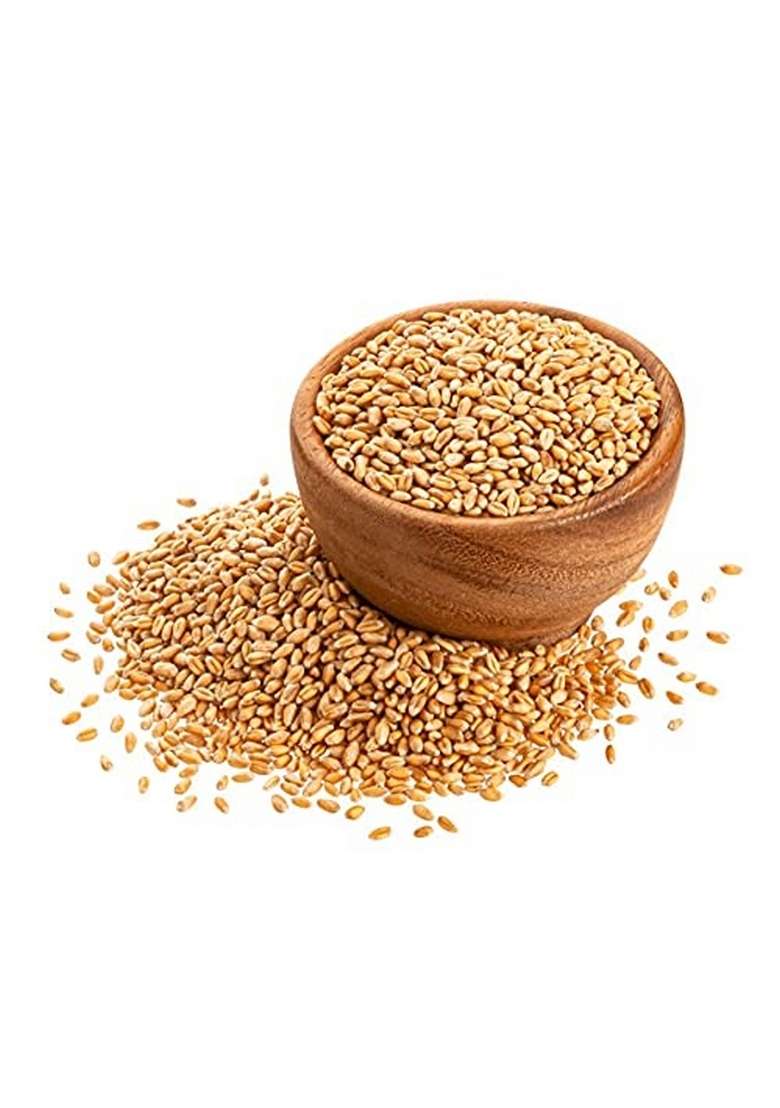 Sakshi Farms Organic Mp Sharbati Wheat|Fresh From Farms|No Mixture|No Preservatives|Washed And Dried|For Eating & Atta|No Preservatives|No Artificial Flavors|Immunity Booster |, 1 Kilograms - Indya