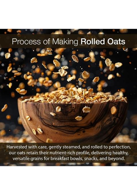 Well Green Natural Rolled Oats Natural Wholegrain Oats 750 Gram, Gluten Free, Nutritious Breakfast Cereals, Dalia Porridge, Easy To Cook