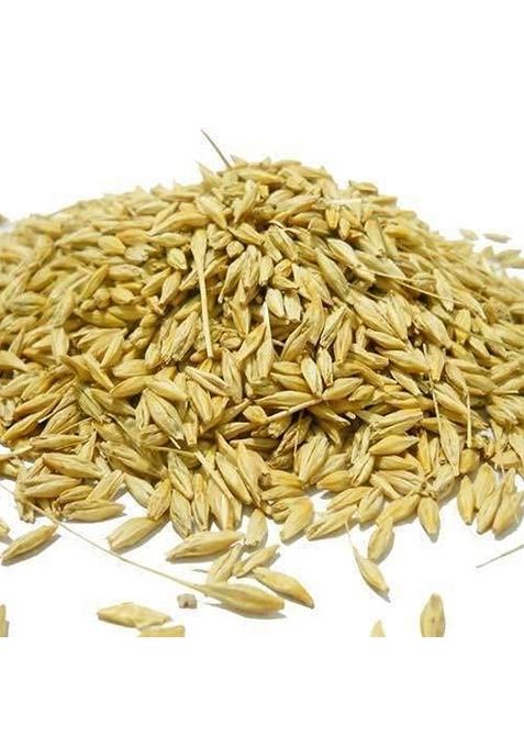 Jau Sabut (Barley Whole Grain)| 1 Kg Packing| With Fibre, Vitamins & Minerals| For Weight Loss & Improves Digestion| Rich In Nutrients| Heart Healthy