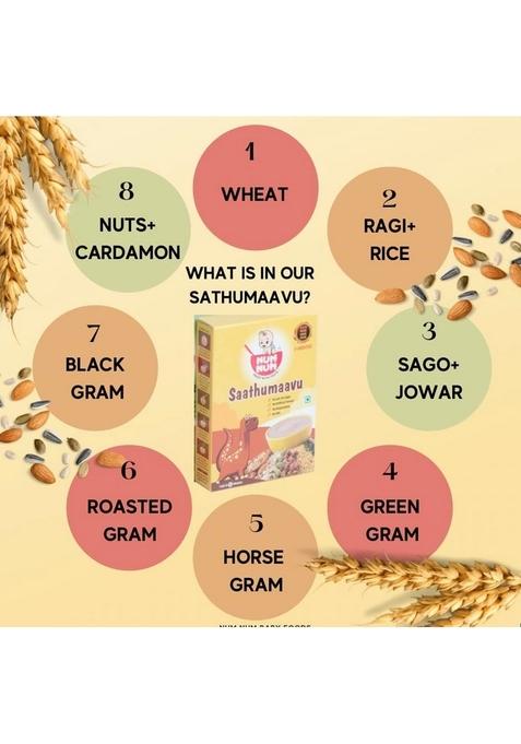 Num Num Organic Multi Grain Combo Pack 100% Natural Healthy Food For Children (50 Gm) (50 Gram)