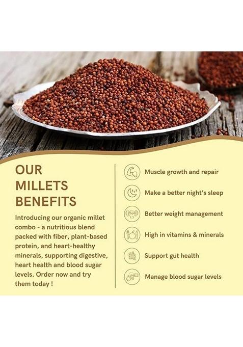 Danodia Foods Finger Millet Flakes (Ragi) – 450G (0.99 Lbs) | Gluten-Free & Non-Gmo | Traditional Unpolished Millet Flakes | Ideal For Indian & Fusion Recipes