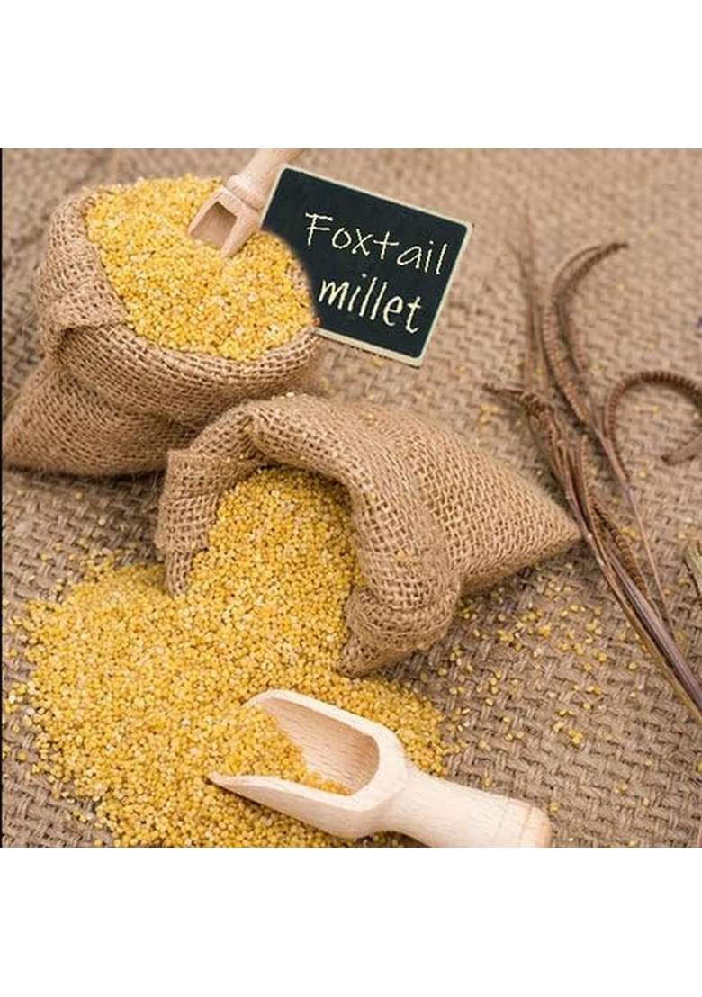 Spice-M, 100% Natural And Organic Foxtail Millet (Korralu) | Kangni | Foxtail Millets | Navane | Kaon | Kang - (100 Grams) - Indya