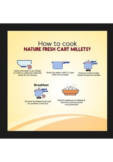 Nature Fresh Cart Foxtail Millet Whole Grain 500G Pack | 100% Natural & Gluten Free | Rice Replacement | High Fibre And Plant Protein | Gluten Free