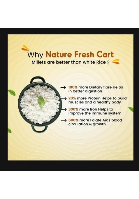 Nature Fresh Cart Foxtail Millet Whole Grain 500G Pack | 100% Natural & Gluten Free | Rice Replacement | High Fibre And Plant Protein | Gluten Free