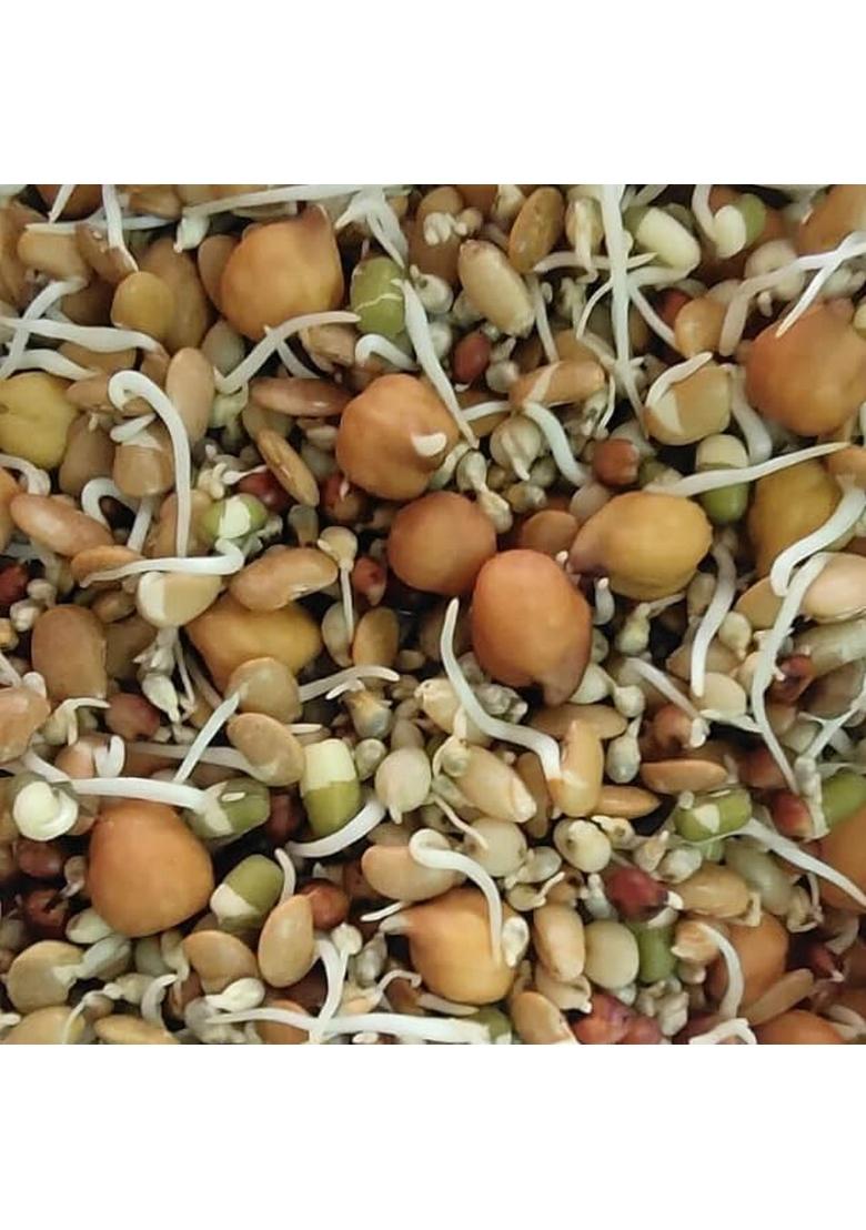 Natural Multigrain Health Mix (1Kg)