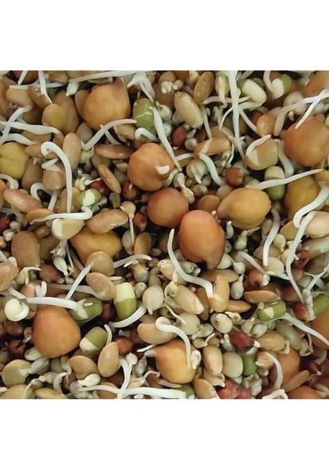 Natural Multigrain Health Mix (1Kg)