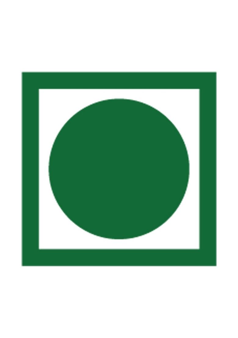 Groshaat Makka Daliya (Makka/Corn Porridge)