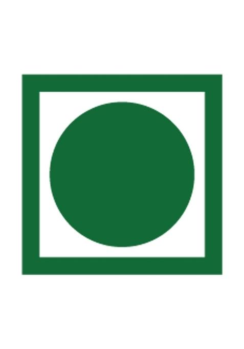 Groshaat Makka Daliya (Makka/Corn Porridge)