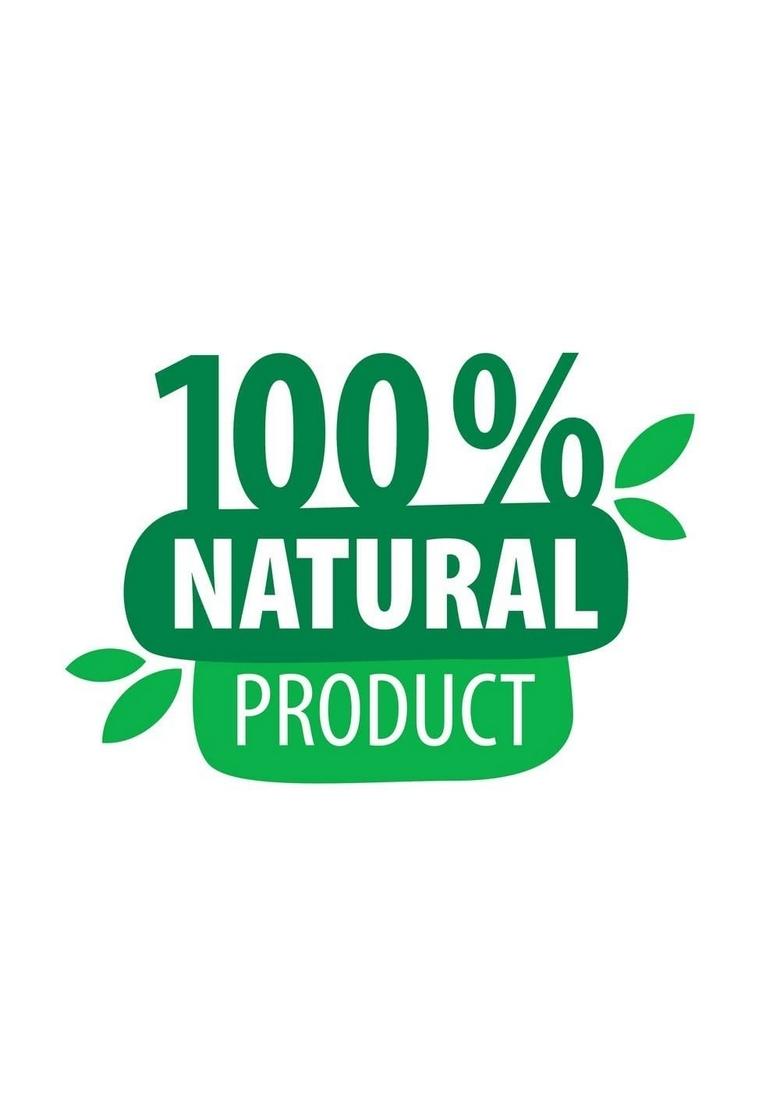 Grocery Planet Wholegrain Choco Flakes |Breakfast Cereal