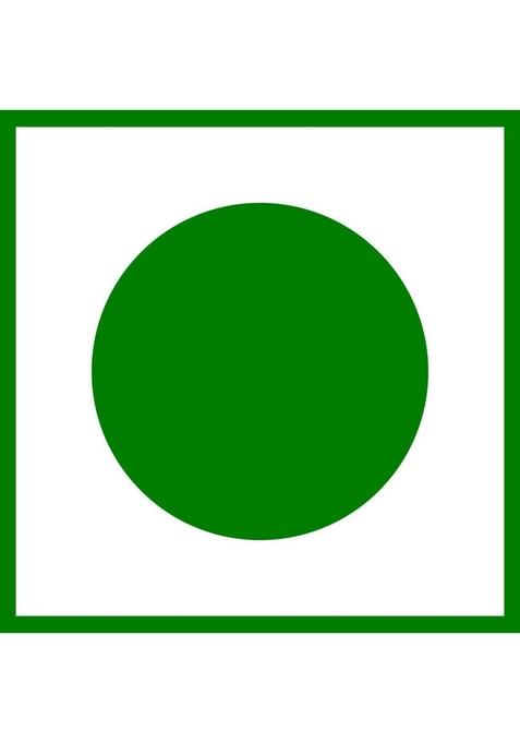 Grocery Planet Wholegrain Choco Flakes |Breakfast Cereal