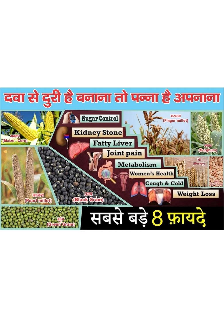 PANNA Mix Bhunja Dry Roasted, Pure and Tasty Bihari Mix, snacks