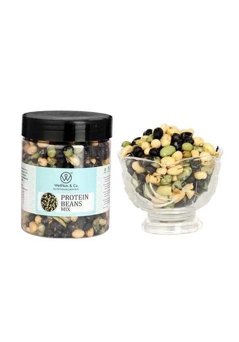 WellNuts & Co. Protein Beans Mix | High-Protein Roasted Legumes Snack Healthy, Gluten-Free, Vegan Superfood Ideal for Office, Gym, Travel 200g