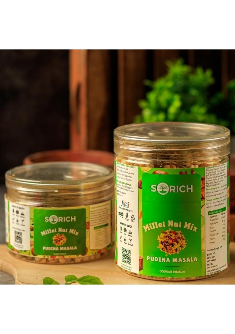 Sorich Organics Millet Nut Mix | Healthy Snack Roasted with Nuts & Seeds Protein Rich, High Fiber Superfood Gluten Free, Vegan, No Added Sugar, palm oil, Blend Cholesteral Free Namkeen For Kids Adults, Office Travel Instant (100gm, Pudina masala)