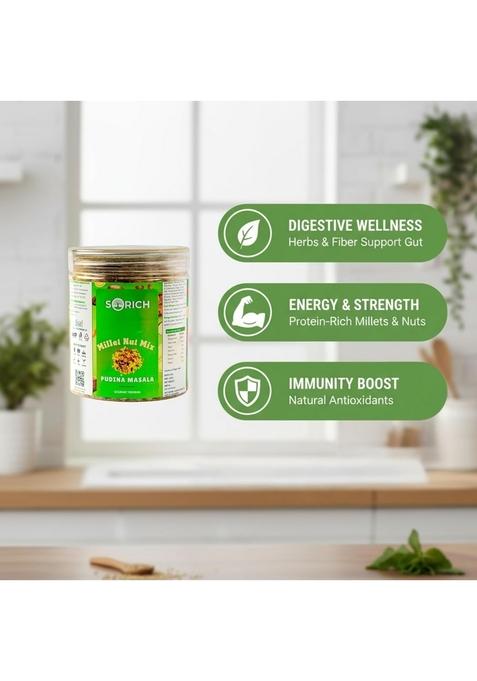 Sorich Organics Millet Nut Mix | Healthy Snack Roasted with Nuts & Seeds Protein Rich, High Fiber Superfood Gluten Free, Vegan, No Added Sugar, palm oil, Blend Cholesteral Free Namkeen For Kids Adults, Office Travel Instant (100gm, Pudina masala)