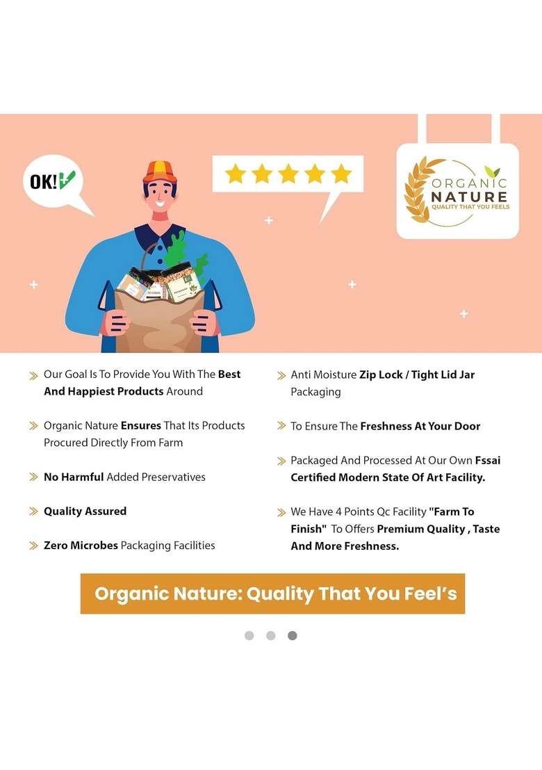ORGANIC NATURE Raita Tasty Veg Boondi Plain for Every Day Healthy and Hygenic 200 Gram - Indya
